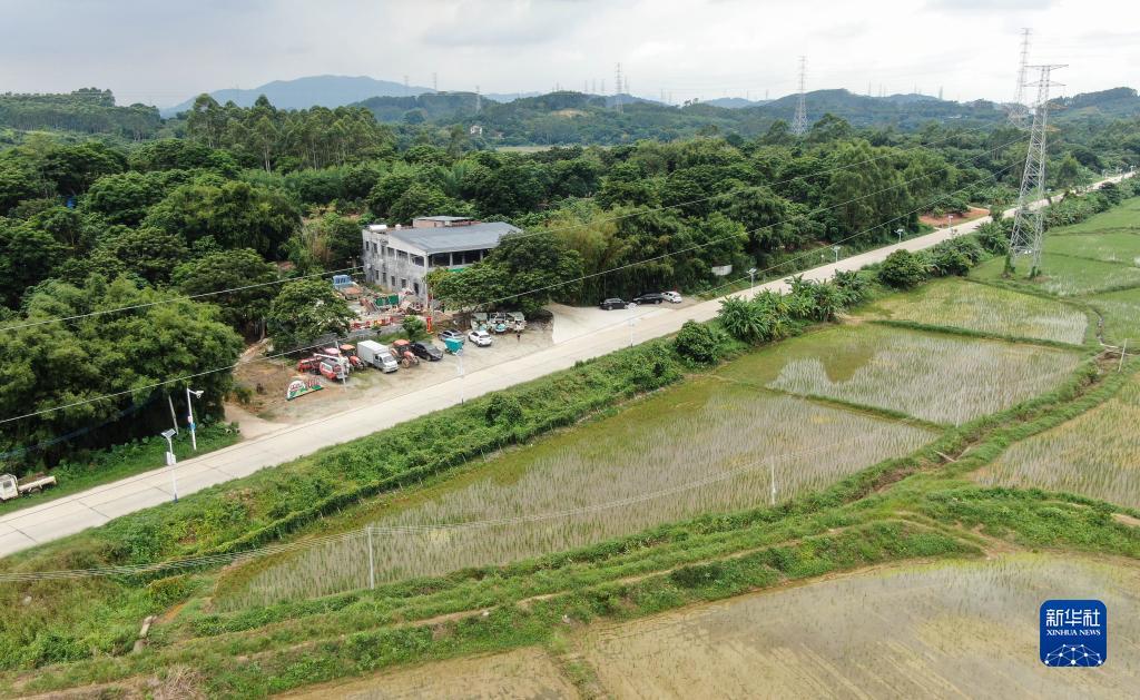 线上送彩金下载
